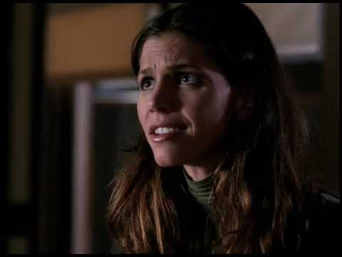 Angel Season 1 Overview