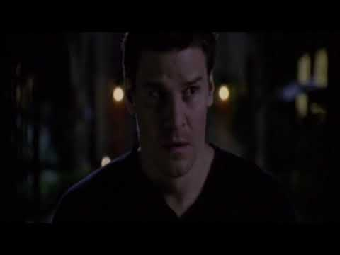 Angel The Series Season 4 Funniest Moments